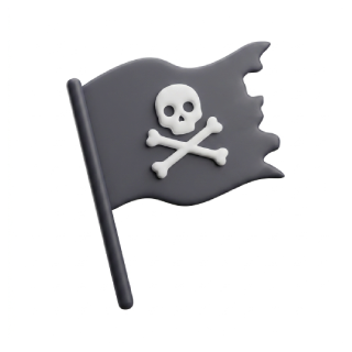 Pirate Voyage