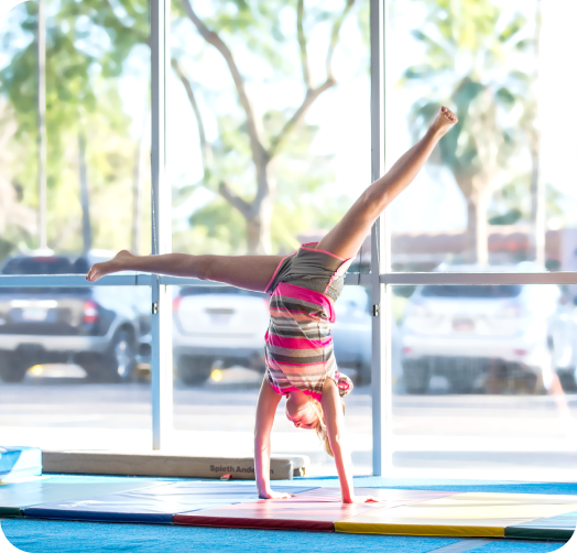 Grade School Gymnastics